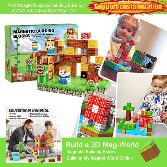 Minecraft Magnetic Building Blocks